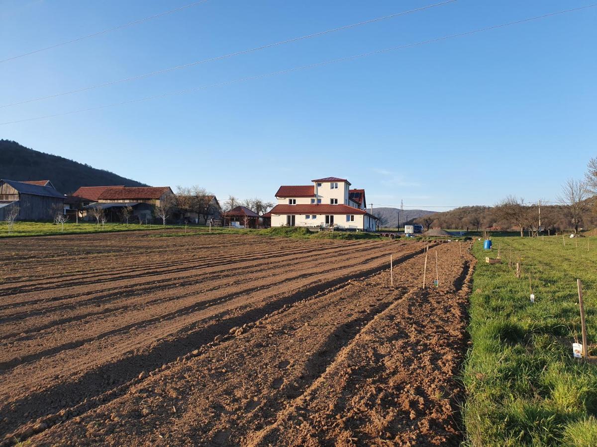 Apartmani Fenestra Tesla I Faust Otocac Exterior photo
